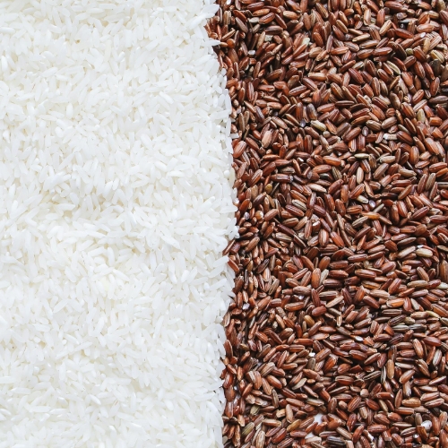 escavatore-a-risucchio-aspira-riso-cereali-silos-eco-linea